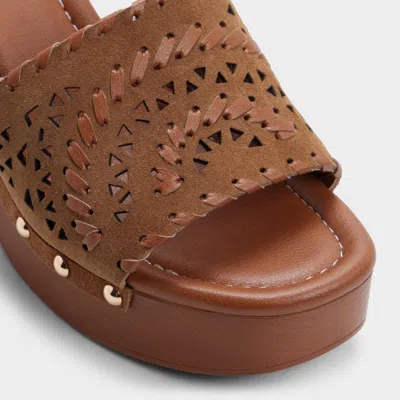 Aldo Taylia In Multi