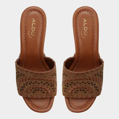 Aldo Taylia In Multi