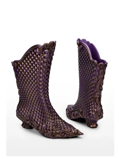 Melissa X Y-project Pointed-toe Boots In Multi