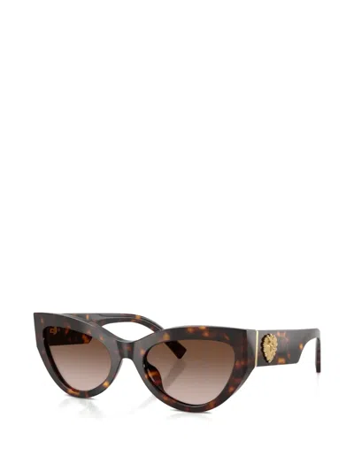 Dolce & Gabbana Devotion Sunglasses In Brown