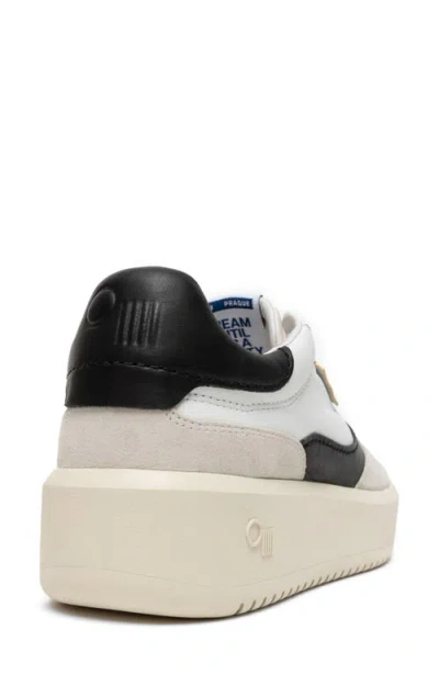 Oncept Prague Sneaker In Multi