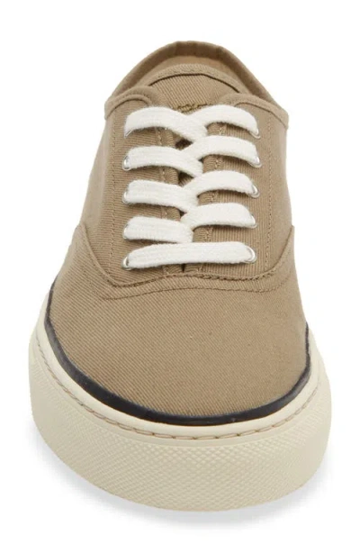 Jacquemus Cotton Low-top Sneakers With Embroidered Logo In Brown