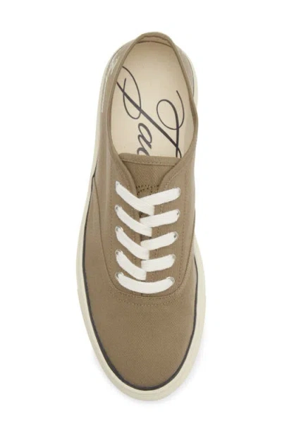 Jacquemus Cotton Low-top Sneakers With Embroidered Logo In Brown
