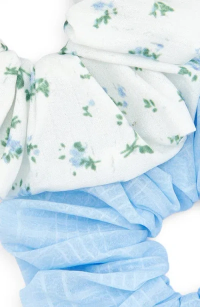 Tasha Assorted 2-pack Scrunchies In Multi