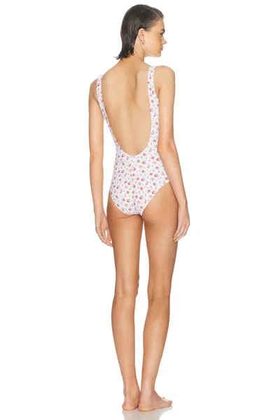 Dolce & Gabbana Small Rose-print One-piece Swimsuit In White