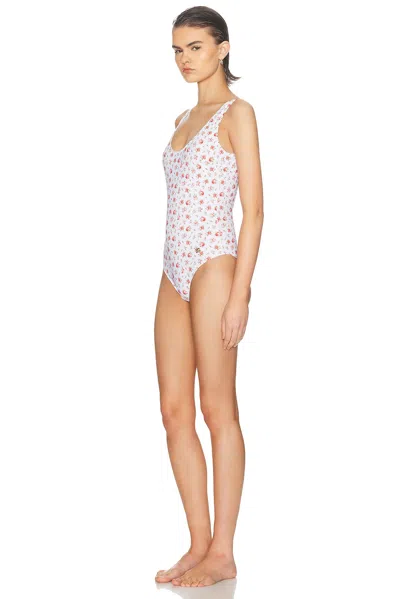 Dolce & Gabbana Small Rose-print One-piece Swimsuit In White