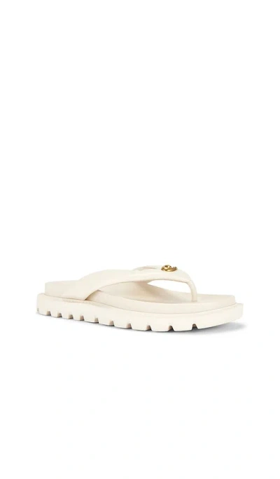 Coach Brynn Thong Sandals Chalk In White