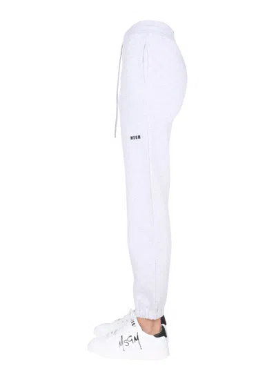 Msgm Jogging Pants With Logo Print In Gray