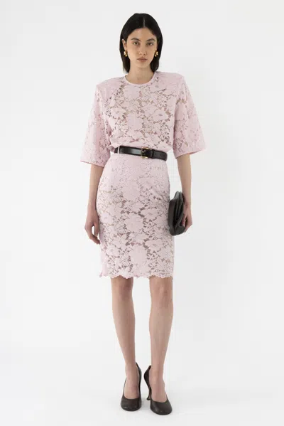 Arakii Velvet Lace Pencil Skirt In Pink