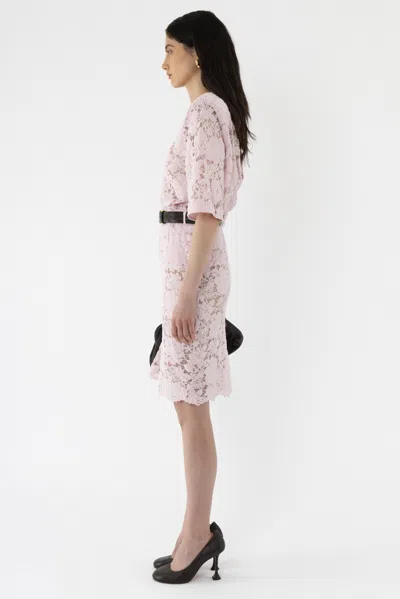Arakii Velvet Lace Pencil Skirt In Pink