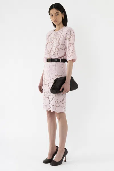 Arakii Velvet Lace Pencil Skirt In Pink