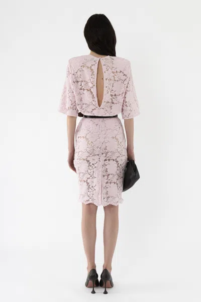 Arakii Velvet Lace Pencil Skirt In Pink