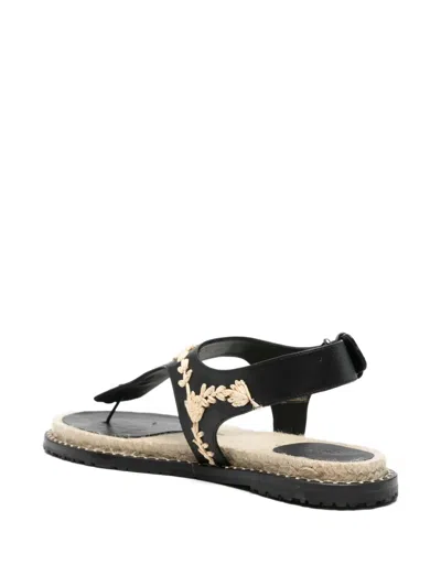 Castañer Pedra Raffia Espadrilles In Black
