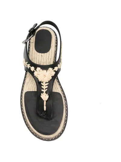 Castañer Pedra Raffia Espadrilles In Black