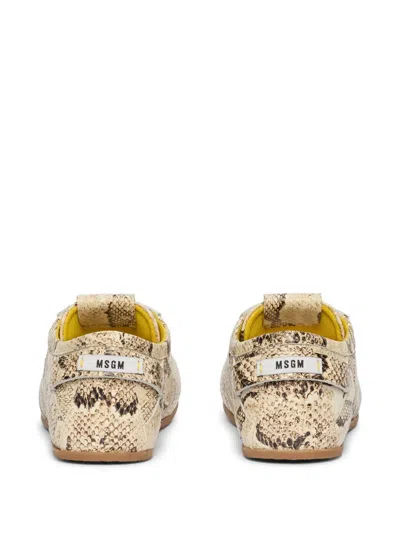 Msgm Snakeskin Lace-up Sneakers In Multi