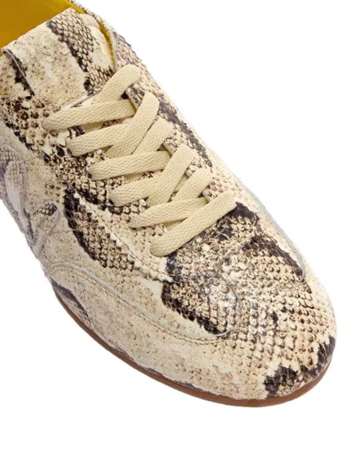 Msgm Snakeskin Lace-up Sneakers In Multi