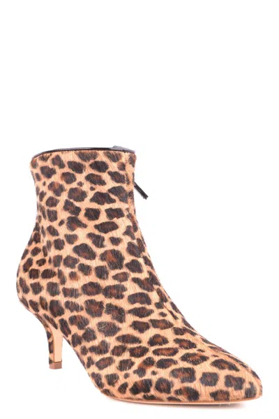 Polly Plume Stunning Multicolor Mini Ankle Boots For Women In Brown