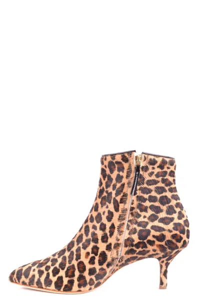 Polly Plume Stunning Multicolor Mini Ankle Boots For Women In Brown