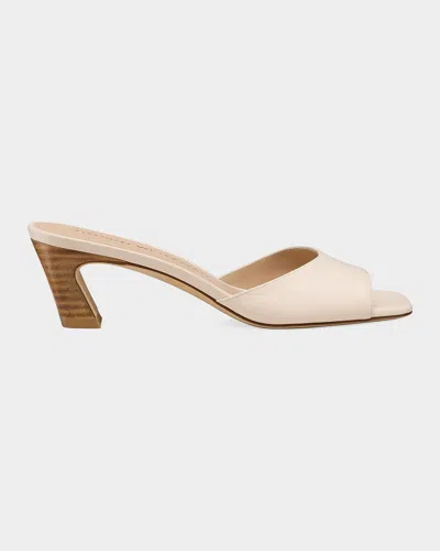 Stuart Weitzman Stassi Slide Sandal In Neutral