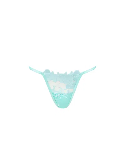 Bluebella Serenity Embroidered Thong Blue