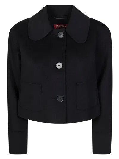 Max Mara Round-collar Single-breasted Jacket In Black