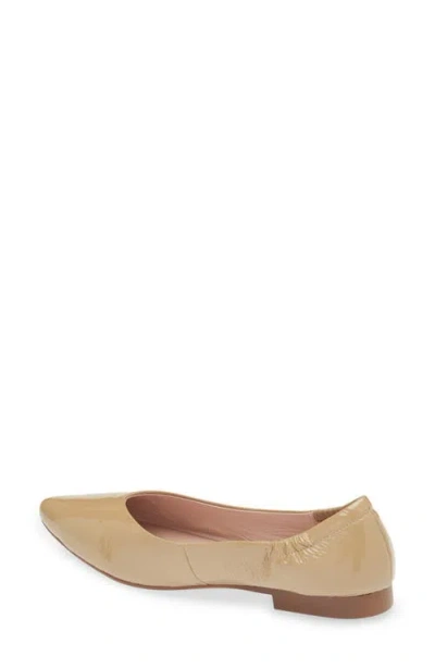 Cordani Mavis Pointed Toe Flat In Brown