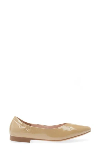 Cordani Mavis Pointed Toe Flat In Brown