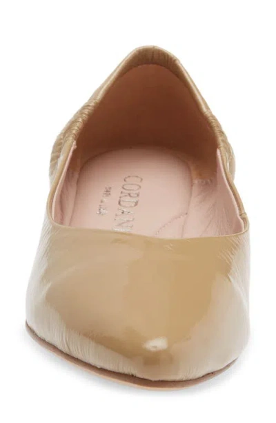 Cordani Mavis Pointed Toe Flat In Brown