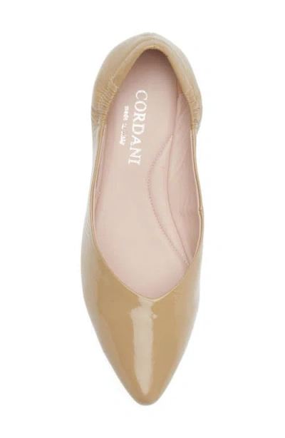 Cordani Mavis Pointed Toe Flat In Brown