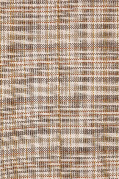Auralee Checked Shirt Jacket In Neutral
