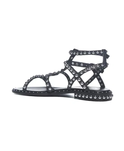 Ash Precious Stud Embellished Sandals In Black