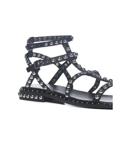 Ash Precious Stud Embellished Sandals In Black