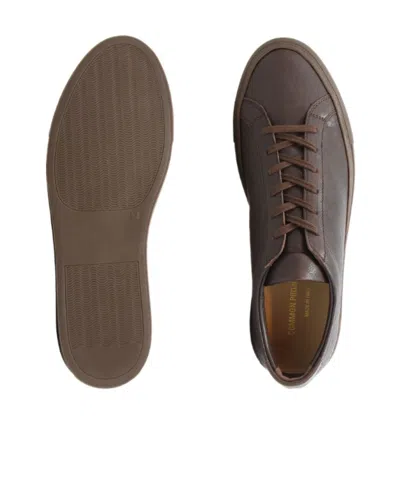 Common Projects Achilles Premium Lace-up Sneakers In Brown