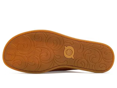 Born Isabel In Brown