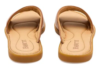 Born Isabel In Brown
