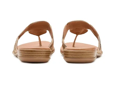 Andre Assous Nikky In Multi