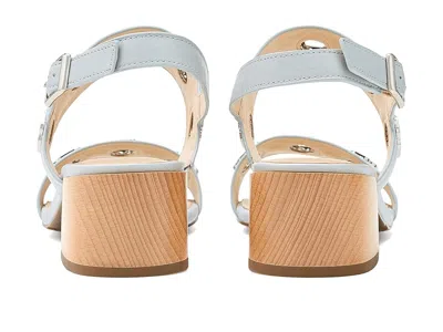 Vaneli Cris In Multi