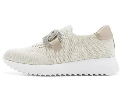 Vaneli Qadiza In Brown