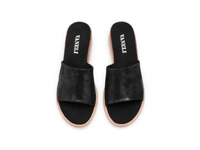 Vaneli Honna In Black