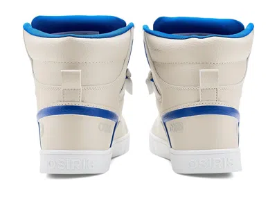 Osiris Rize Ultra In Multi