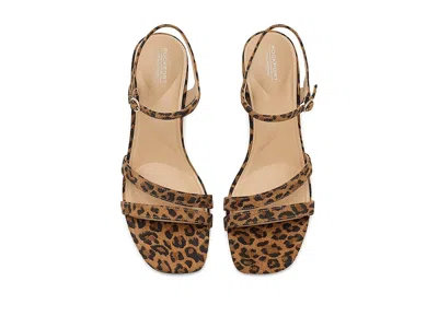 Rockport Teddy In Multi
