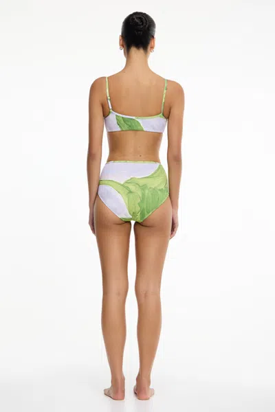 Significant Other Jura Brief In Multi