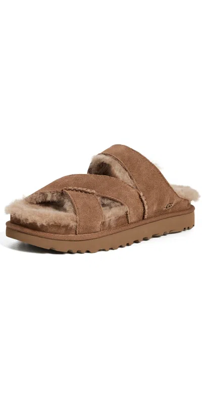 Ugg Chestnut Suede Greenport Cross Strap Sandals In Brown