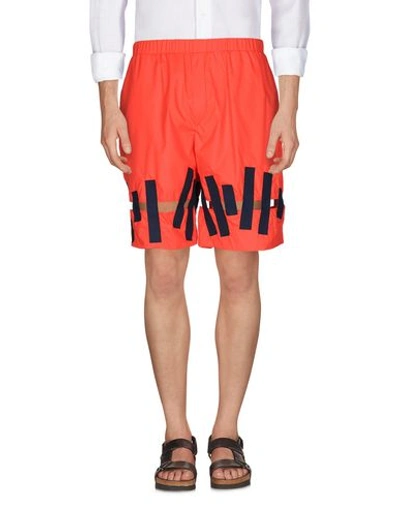 Christopher Shannon Shorts & Bermuda In Coral