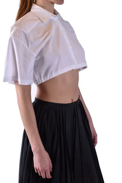 Laneus White In White