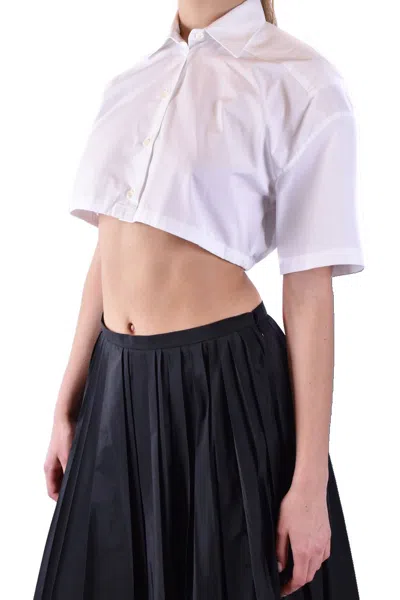 Laneus White In White