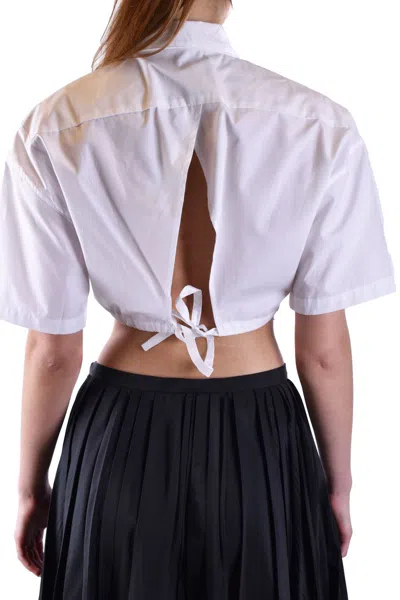 Laneus White In White