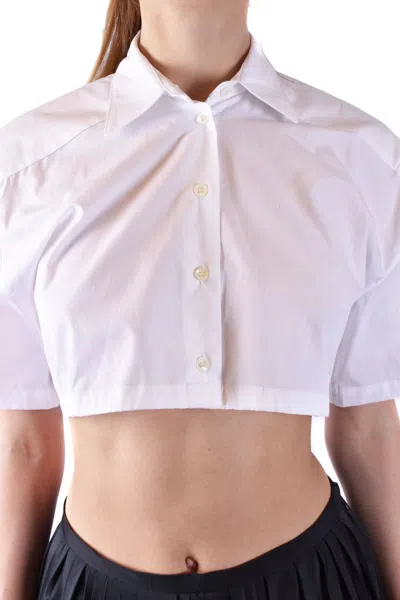 Laneus White In White