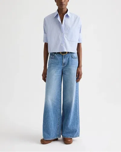 Twp Next Ex Blue Haven In Blue