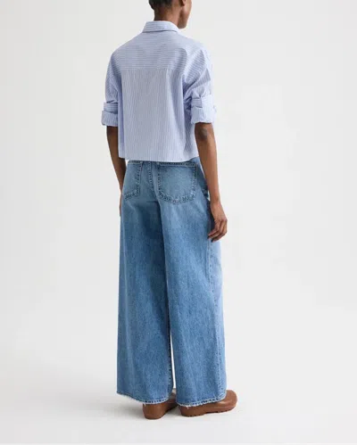 Twp Next Ex Blue Haven In Blue